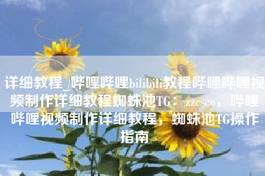 详细教程_哔哩哔哩bilibili教程哔哩哔哩视频制作详细教程蜘蛛池TG：zzcseo，哔哩哔哩视频制作详细教程，蜘蛛池TG操作指南