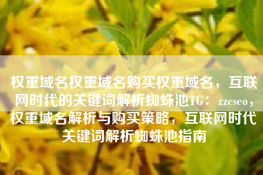 权重域名权重域名购买权重域名，互联网时代的关键词解析蜘蛛池TG：zzcseo，权重域名解析与购买策略，互联网时代关键词解析蜘蛛池指南