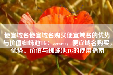 便宜域名便宜域名购买便宜域名的优势与价值蜘蛛池TG：zzcseo，便宜域名购买，优势、价值与蜘蛛池TG的使用指南