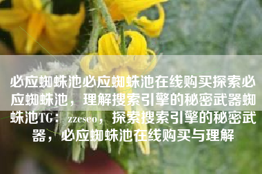 必应蜘蛛池必应蜘蛛池在线购买探索必应蜘蛛池，理解搜索引擎的秘密武器蜘蛛池TG：zzcseo，探索搜索引擎的秘密武器，必应蜘蛛池在线购买与理解