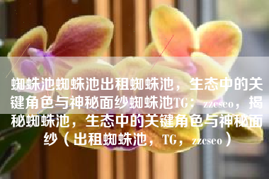 蜘蛛池蜘蛛池出租蜘蛛池，生态中的关键角色与神秘面纱蜘蛛池TG：zzcseo，揭秘蜘蛛池，生态中的关键角色与神秘面纱（出租蜘蛛池，TG，zzcseo）