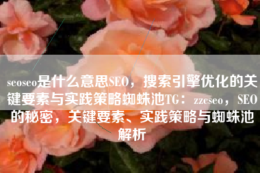 seoseo是什么意思SEO，搜索引擎优化的关键要素与实践策略蜘蛛池TG：zzcseo，SEO的秘密，关键要素、实践策略与蜘蛛池解析
