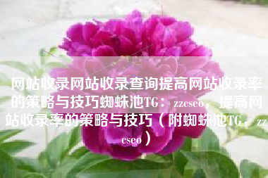 网站收录网站收录查询提高网站收录率的策略与技巧蜘蛛池TG：zzcseo，提高网站收录率的策略与技巧（附蜘蛛池TG，zzcseo）