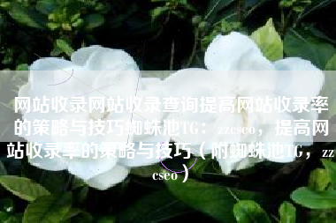 网站收录网站收录查询提高网站收录率的策略与技巧蜘蛛池TG：zzcseo，提高网站收录率的策略与技巧（附蜘蛛池TG，zzcseo）