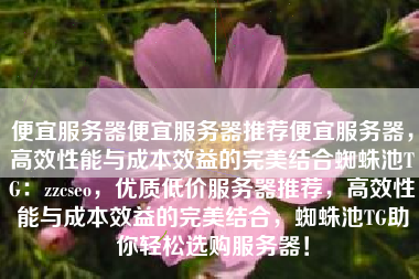便宜服务器便宜服务器推荐便宜服务器，高效性能与成本效益的完美结合蜘蛛池TG：zzcseo，优质低价服务器推荐，高效性能与成本效益的完美结合，蜘蛛池TG助你轻松选购服务器！