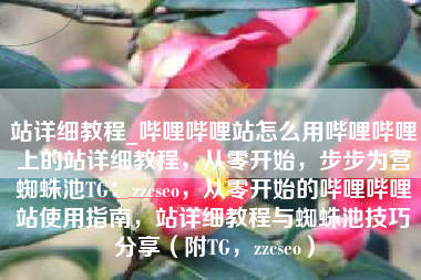 站详细教程_哔哩哔哩站怎么用哔哩哔哩上的站详细教程，从零开始，步步为营蜘蛛池TG：zzcseo，从零开始的哔哩哔哩站使用指南，站详细教程与蜘蛛池技巧分享（附TG，zzcseo）