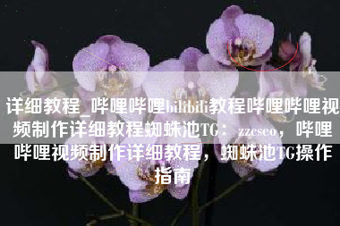 详细教程_哔哩哔哩bilibili教程哔哩哔哩视频制作详细教程蜘蛛池TG：zzcseo，哔哩哔哩视频制作详细教程，蜘蛛池TG操作指南