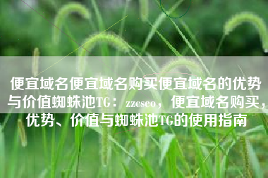 便宜域名便宜域名购买便宜域名的优势与价值蜘蛛池TG：zzcseo，便宜域名购买，优势、价值与蜘蛛池TG的使用指南