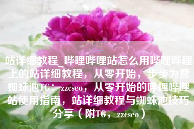 站详细教程_哔哩哔哩站怎么用哔哩哔哩上的站详细教程，从零开始，步步为营蜘蛛池TG：zzcseo，从零开始的哔哩哔哩站使用指南，站详细教程与蜘蛛池技巧分享（附TG，zzcseo）