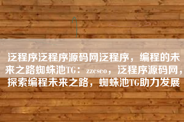 泛程序泛程序源码网泛程序，编程的未来之路蜘蛛池TG：zzcseo，泛程序源码网，探索编程未来之路，蜘蛛池TG助力发展