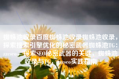 蜘蛛池收录百度蜘蛛池收录蜘蛛池收录，探索搜索引擎优化的秘密武器蜘蛛池TG：zzcseo，探索SEO秘密武器的关键，蜘蛛池收录与TG，zzcseo实践指南
