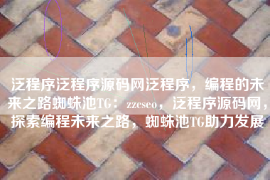 泛程序泛程序源码网泛程序，编程的未来之路蜘蛛池TG：zzcseo，泛程序源码网，探索编程未来之路，蜘蛛池TG助力发展