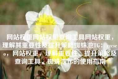 网站权重网站权重查询工具网站权重，理解其重要性及提升策略蜘蛛池TG：zzcseo，网站权重，理解重要性、提升策略及查询工具，蜘蛛池TG的使用指南