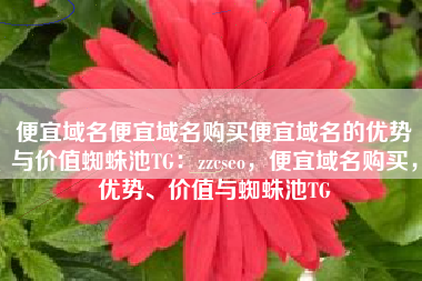 便宜域名便宜域名购买便宜域名的优势与价值蜘蛛池TG：zzcseo，便宜域名购买，优势、价值与蜘蛛池TG