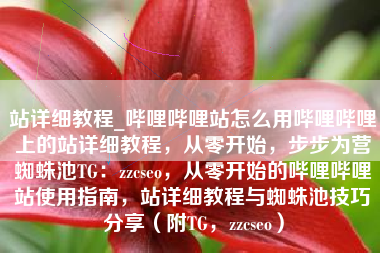 站详细教程_哔哩哔哩站怎么用哔哩哔哩上的站详细教程，从零开始，步步为营蜘蛛池TG：zzcseo，从零开始的哔哩哔哩站使用指南，站详细教程与蜘蛛池技巧分享（附TG，zzcseo）