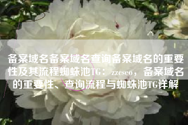 备案域名备案域名查询备案域名的重要性及其流程蜘蛛池TG：zzcseo，备案域名的重要性、查询流程与蜘蛛池TG详解