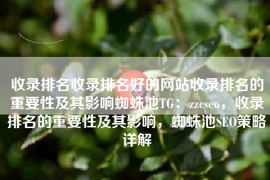 收录排名收录排名好的网站收录排名的重要性及其影响蜘蛛池TG：zzcseo，收录排名的重要性及其影响，蜘蛛池SEO策略详解