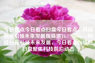 今日看点今日看点扫盘今日看点，科技创新引领未来发展蜘蛛池TG：zzcseo，科技创新引领未来发展，今日看点蜘蛛池扫盘聚焦科技前沿动态