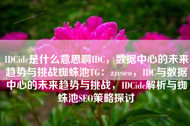 IDCidc是什么意思啊IDC，数据中心的未来趋势与挑战蜘蛛池TG：zzcseo，IDC与数据中心的未来趋势与挑战，IDCidc解析与蜘蛛池SEO策略探讨