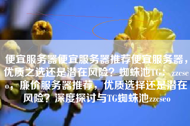 便宜服务器便宜服务器推荐便宜服务器，优质之选还是潜在风险？蜘蛛池TG：zzcseo，廉价服务器推荐，优质选择还是潜在风险？深度探讨与TG蜘蛛池zzcseo