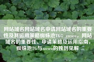 网站域名网站域名申请网站域名的重要性及其运用策略蜘蛛池TG：zzcseo，网站域名的重要性、申请策略及运用指南，蜘蛛池TG与zzcseo的独到见解