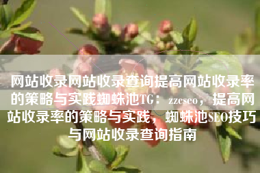 网站收录网站收录查询提高网站收录率的策略与实践蜘蛛池TG：zzcseo，提高网站收录率的策略与实践，蜘蛛池SEO技巧与网站收录查询指南