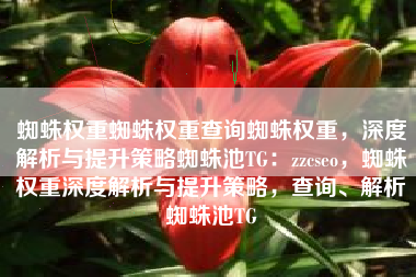 蜘蛛权重蜘蛛权重查询蜘蛛权重，深度解析与提升策略蜘蛛池TG：zzcseo，蜘蛛权重深度解析与提升策略，查询、解析蜘蛛池TG