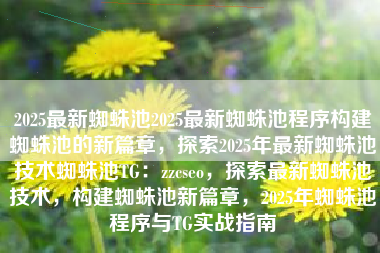 2025最新蜘蛛池2025最新蜘蛛池程序构建蜘蛛池的新篇章，探索2025年最新蜘蛛池技术蜘蛛池TG：zzcseo，探索最新蜘蛛池技术，构建蜘蛛池新篇章，2025年蜘蛛池程序与TG实战指南