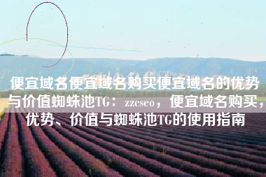 便宜域名便宜域名购买便宜域名的优势与价值蜘蛛池TG：zzcseo，便宜域名购买，优势、价值与蜘蛛池TG的使用指南