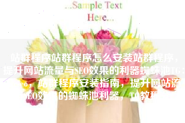 站群程序站群程序怎么安装站群程序，提升网站流量与SEO效果的利器蜘蛛池TG：zzcseo，站群程序安装指南，提升网站流量与SEO效果的蜘蛛池利器，TG教程分享。