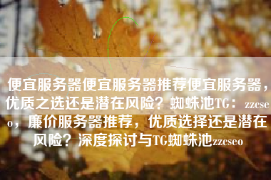 便宜服务器便宜服务器推荐便宜服务器，优质之选还是潜在风险？蜘蛛池TG：zzcseo，廉价服务器推荐，优质选择还是潜在风险？深度探讨与TG蜘蛛池zzcseo