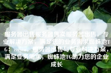 服务器出售服务器售卖服务器出售，专业解决方案，满足您的业务需求蜘蛛池TG：zzcseo，服务器出售与专业解决方案，满足业务需求，蜘蛛池TG助力您的企业成长