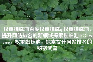 权重蜘蛛池百度权重蜘蛛ip权重蜘蛛池，提升网站排名的新领域探索蜘蛛池TG：zzcseo，权重蜘蛛池，探索提升网站排名的秘密武器