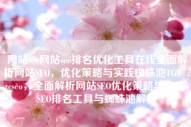 网站seo网站seo排名优化工具在线全面解析网站SEO，优化策略与实践蜘蛛池TG：zzcseo，全面解析网站SEO优化策略与实践，SEO排名工具与蜘蛛池解析