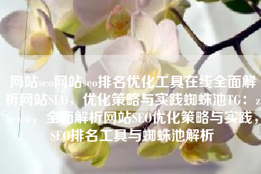 网站seo网站seo排名优化工具在线全面解析网站SEO，优化策略与实践蜘蛛池TG：zzcseo，全面解析网站SEO优化策略与实践，SEO排名工具与蜘蛛池解析