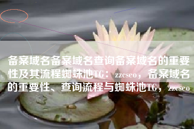 备案域名备案域名查询备案域名的重要性及其流程蜘蛛池TG：zzcseo，备案域名的重要性、查询流程与蜘蛛池TG，zzcseo