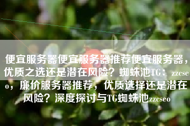 便宜服务器便宜服务器推荐便宜服务器，优质之选还是潜在风险？蜘蛛池TG：zzcseo，廉价服务器推荐，优质选择还是潜在风险？深度探讨与TG蜘蛛池zzcseo