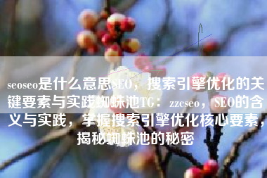seoseo是什么意思SEO，搜索引擎优化的关键要素与实践蜘蛛池TG：zzcseo，SEO的含义与实践，掌握搜索引擎优化核心要素，揭秘蜘蛛池的秘密