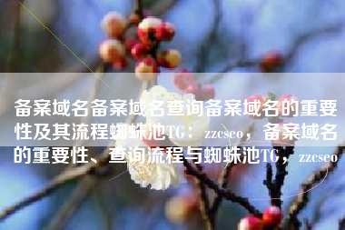 备案域名备案域名查询备案域名的重要性及其流程蜘蛛池TG：zzcseo，备案域名的重要性、查询流程与蜘蛛池TG，zzcseo