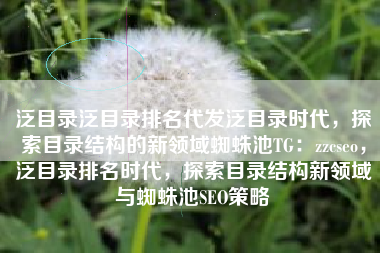 泛目录泛目录排名代发泛目录时代，探索目录结构的新领域蜘蛛池TG：zzcseo，泛目录排名时代，探索目录结构新领域与蜘蛛池SEO策略
