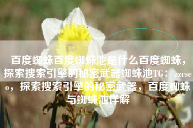 百度蜘蛛百度蜘蛛池是什么百度蜘蛛，探索搜索引擎的秘密武器蜘蛛池TG：zzcseo，探索搜索引擎的秘密武器，百度蜘蛛与蜘蛛池详解