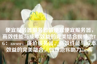 便宜服务器服务器最便宜便宜服务器，高效性能与成本效益的完美结合蜘蛛池TG：zzcseo，廉价服务器，高效性能与成本效益的完美融合，蜘蛛池TG助力zzcseo