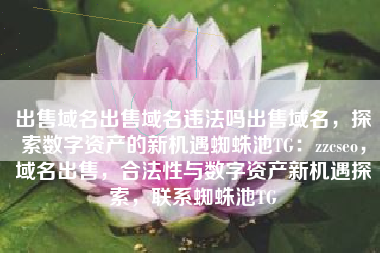 出售域名出售域名违法吗出售域名，探索数字资产的新机遇蜘蛛池TG：zzcseo，域名出售，合法性与数字资产新机遇探索，联系蜘蛛池TG