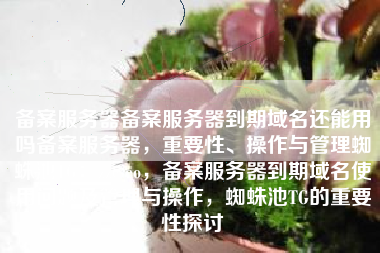 备案服务器备案服务器到期域名还能用吗备案服务器，重要性、操作与管理蜘蛛池TG：zzcseo，备案服务器到期域名使用问题及管理与操作，蜘蛛池TG的重要性探讨