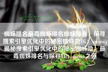 蜘蛛排名最毒蜘蛛排名蜘蛛排名，探寻搜索引擎优化中的秘密蜘蛛池TG：zzcseo，揭秘搜索引擎优化中的秘密蜘蛛池，最毒蜘蛛排名与探寻TG，zzcseo之道