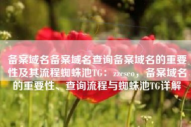 备案域名备案域名查询备案域名的重要性及其流程蜘蛛池TG：zzcseo，备案域名的重要性、查询流程与蜘蛛池TG详解