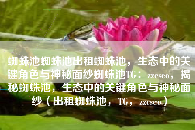 蜘蛛池蜘蛛池出租蜘蛛池，生态中的关键角色与神秘面纱蜘蛛池TG：zzcseo，揭秘蜘蛛池，生态中的关键角色与神秘面纱（出租蜘蛛池，TG，zzcseo）