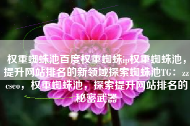 权重蜘蛛池百度权重蜘蛛ip权重蜘蛛池，提升网站排名的新领域探索蜘蛛池TG：zzcseo，权重蜘蛛池，探索提升网站排名的秘密武器