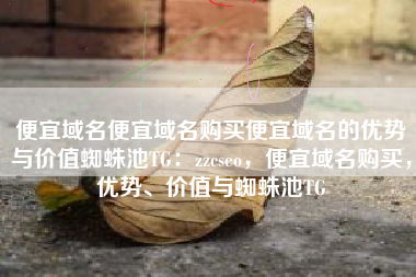 便宜域名便宜域名购买便宜域名的优势与价值蜘蛛池TG：zzcseo，便宜域名购买，优势、价值与蜘蛛池TG