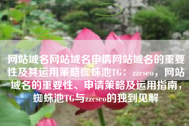网站域名网站域名申请网站域名的重要性及其运用策略蜘蛛池TG：zzcseo，网站域名的重要性、申请策略及运用指南，蜘蛛池TG与zzcseo的独到见解